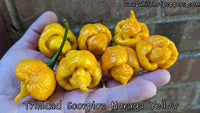 Trinidad Scorpion Moruga Yellow - Pepper Seeds - White Hot Peppers